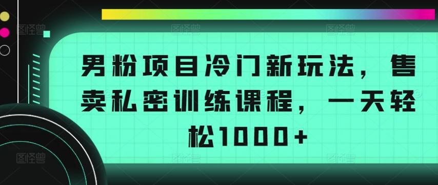 男粉项目冷门新玩法，售卖私密训练课程，一天轻松1000+【揭秘】-徐小晨博客