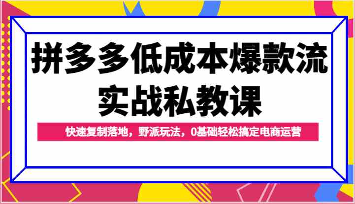拼多多低成本爆款流实战私教课，快速复制落地，野派玩法，0基础轻松搞定电商运营-徐小晨博客