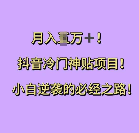 抖音冷门神贴项目，小白逆袭的必经之路，月入过W【揭秘】-徐小晨博客