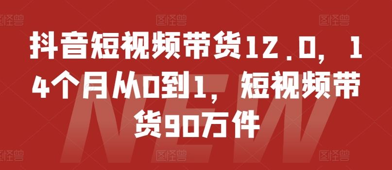 抖音短视频带货12.0，14个月从0到1，短视频带货90万件-徐小晨博客