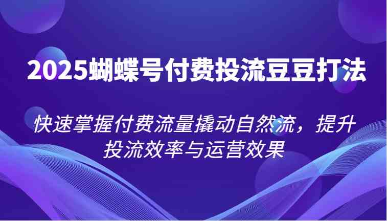 2025蝴蝶号付费投流豆豆打法，快速掌握付费流量撬动自然流，提升投流效率与运营效果-徐小晨博客