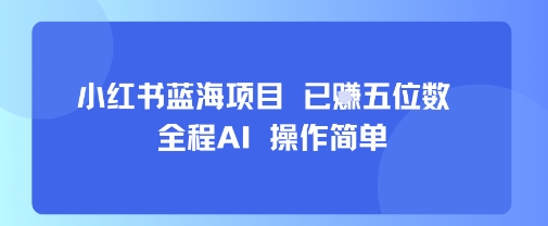 小红书蓝海项目，全程AI，操作简单，已挣五位数-徐小晨博客