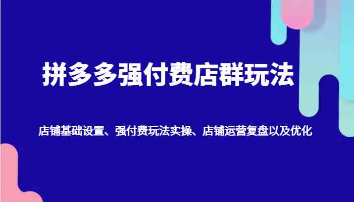 拼多多强付费店群玩法：店铺基础设置、强付费玩法实操、店铺运营复盘以及优化-徐小晨博客