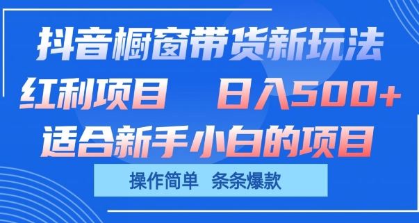 抖音橱窗带货新玩法，单日收益几张，操作简单，条条爆款【揭秘】-徐小晨博客