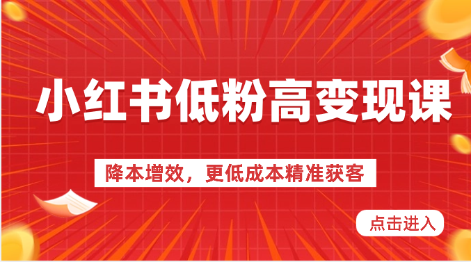 小红书低粉高变现课-降本增效，更低成本精准获客，小红书必爆的流量密码-徐小晨博客