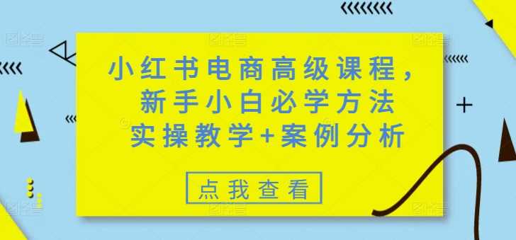 小红书电商高级课程，新手小白必学方法，实操教学+案例分析-徐小晨博客