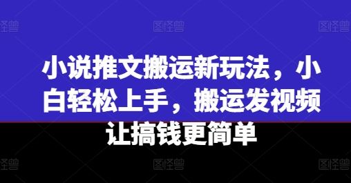 小说推文搬运新玩法，小白轻松上手，搬运发视频让搞钱更简单-徐小晨博客