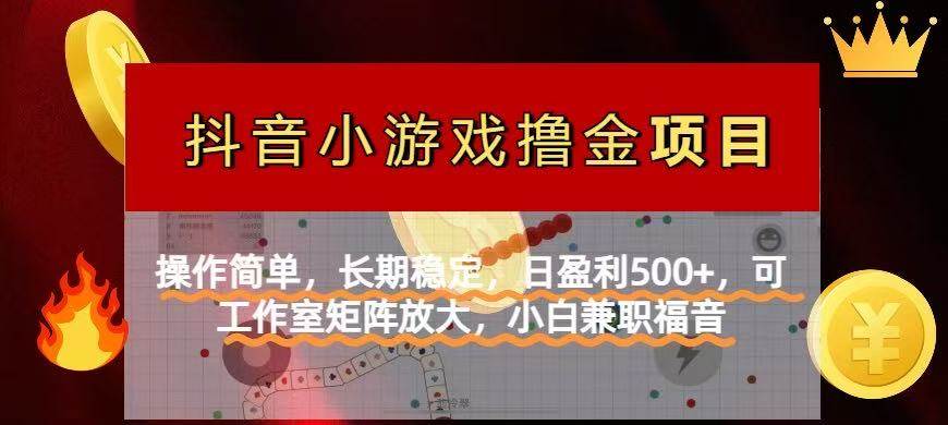【抖音小游戏发行人计划项目】操作简单，长期稳定，日盈利500+，可工作…-徐小晨博客