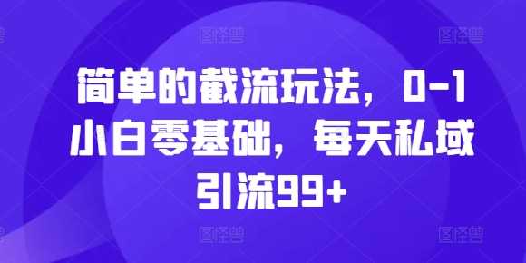 简单的截流玩法，0-1小白零基础，每天私域引流99+【揭秘】-徐小晨博客