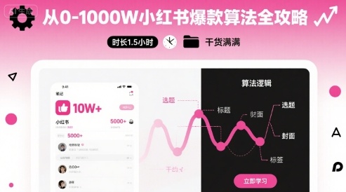 从0-1000W小红书爆款算法全攻略，时长1.5小时，干货满满-徐小晨博客