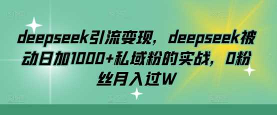deepseek引流变现，deepseek被动日加1000+私域粉的实战，0粉丝月入过W-徐小晨博客