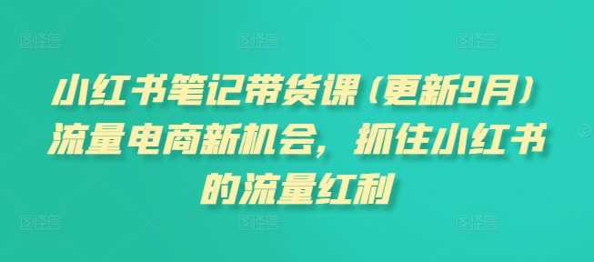 小红书笔记带货课(更新11月)流量电商新机会，抓住小红书的流量红利-徐小晨博客