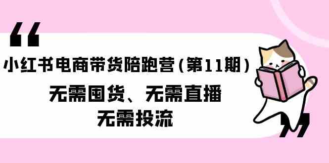 小红书电商带货陪跑营(第11期)无需囤货、无需直播、无需投流-徐小晨博客