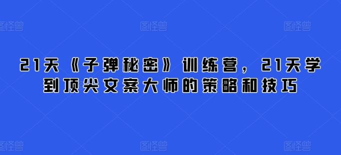 21天《子弹秘密》训练营，21天学到顶尖文案大师的策略和技巧-徐小晨博客