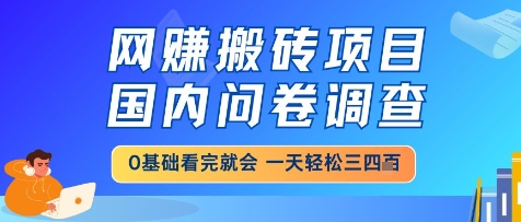 网创搬砖项目，国内问卷调查，小白轻松上手，一天三四张的也不难，干就完了【揭秘】-徐小晨博客