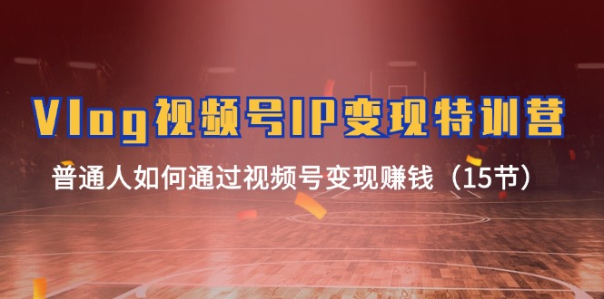 Vlog 视频号IP变现特训营，普通人如何通过视频号变现赚钱（15节）-徐小晨博客