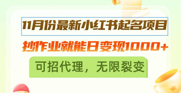 11月份最新小红书起名项目，抄作业就能日变现1000+，可招代理，无限裂变-徐小晨博客
