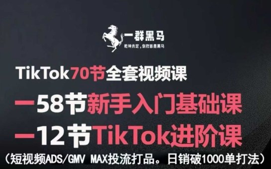 TikTok全套视频课，新手入门+进阶课，短视频ADS-GMV MAX投流打品，日销破1000单打法-徐小晨博客