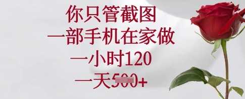 你只管截图，一部手机在家做，一小时120.一天5张【揭秘】-徐小晨博客