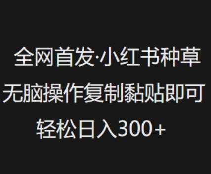 全网首发，小红书种草无脑操作，复制黏贴即可，轻松日入3张-徐小晨博客