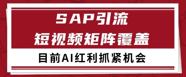 小红书某音sap赛道引流获客 自热矩阵日引200+【揭秘】-徐小晨博客
