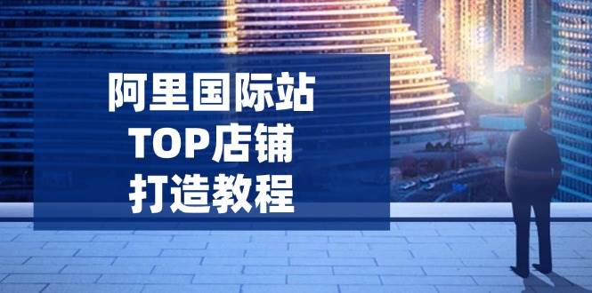 阿里国际站TOP店铺打造教程：涵盖平台到高阶，解决运营难题，提升询盘-徐小晨博客