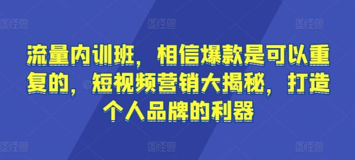 流量内训班，相信爆款是可以重复的，短视频营销大揭秘，打造个人品牌的利器-徐小晨博客