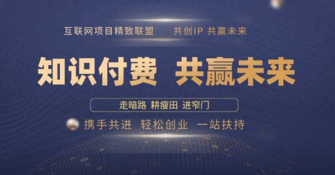 别人苦寻无果，为何他们靠知识付费卖项目 2025 年轻松年入100个?【揭秘】-徐小晨博客