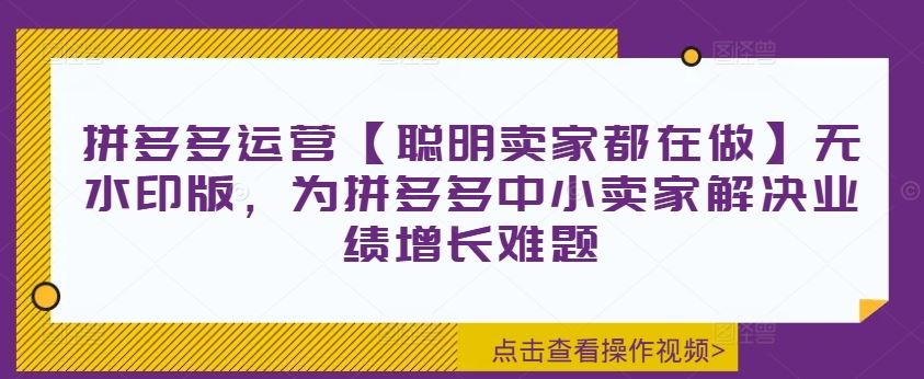 拼多多运营【聪明卖家都在做】无水印版，为拼多多中小卖家解决业绩增长难题-徐小晨博客