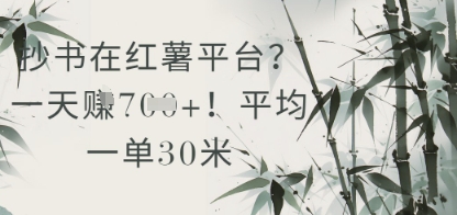 抄书在小红薯平台？平均一单30米，一天收益几张！-徐小晨博客