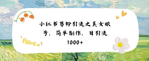 小红书男粉引流项目之美女账号6，简单制作，条条爆款原创，不违规-徐小晨博客