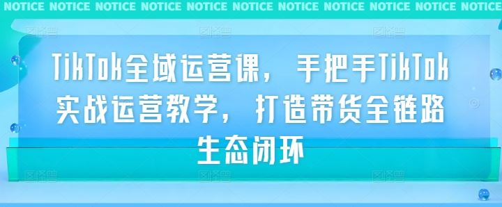 TikTok全域运营课，手把手TikTok实战运营教学，打造带货全链路生态闭环-徐小晨博客