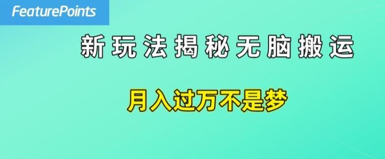 简单操作，每天50美元收入，搬运就是赚钱的秘诀【揭秘】-徐小晨博客