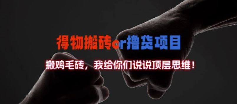 得物搬砖撸货项目?掰下数据，我给你们说说顶层思维【揭秘】-徐小晨博客