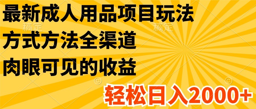 最新成人用品项目玩法，方式方法全渠道，肉眼可见的收益，轻松日入2000+-徐小晨博客