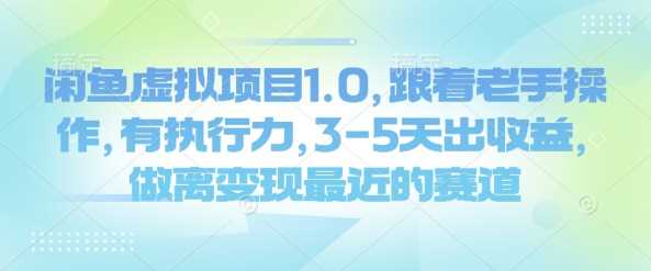 闲鱼虚拟项目1.0，跟着老手操作，有执行力，3-5天出收益，做离变现最近的赛道-徐小晨博客