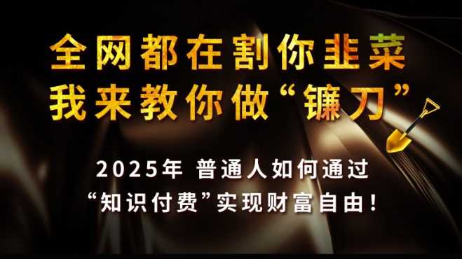 全网都在割你韭菜，我来教你做镰刀,2025普通人如何通过知识付费，实现财F自由【揭秘】-徐小晨博客