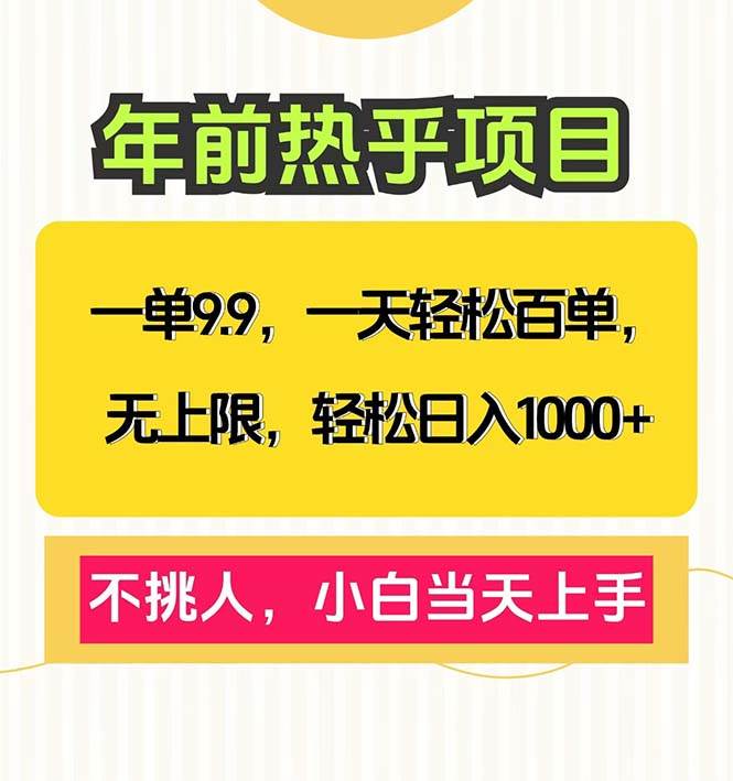 一单9.9，一天百单无上限，不挑人，小白当天上手，轻松日入1000+-徐小晨博客
