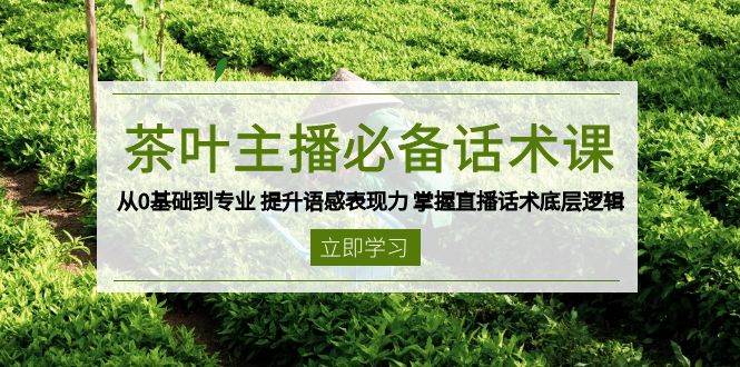 茶叶 主播必备话术课 从0基础到专业 提升语感表现力 掌握直播话术底层逻辑-徐小晨博客