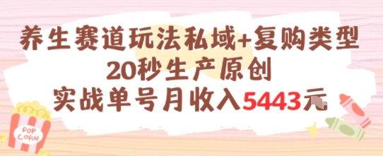 养生赛道玩法私域+复购类型，20秒生产原创实战单号月收入5k+-徐小晨博客