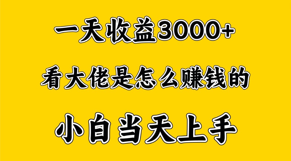 一天赚3000多，大佬是这样赚到钱的，小白当天上手，穷人翻身项目-徐小晨博客