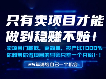 只有卖项目才能做到稳挣不赔，门槛低，更简单，你也可以年入百个W【揭秘】-徐小晨博客