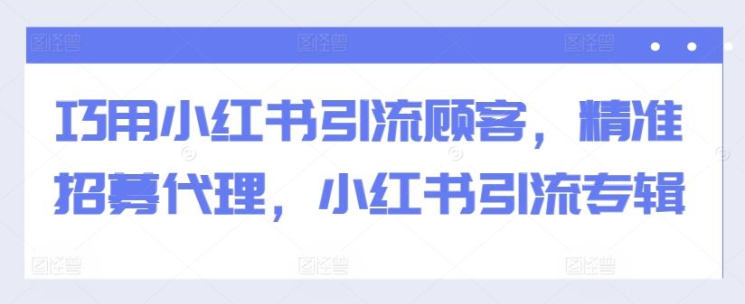 巧用小红书引流顾客，精准招募代理，小红书引流专辑-徐小晨博客