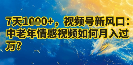7天收益1k+，视频号新风口：中老年情感视频如何月入过W?-徐小晨博客