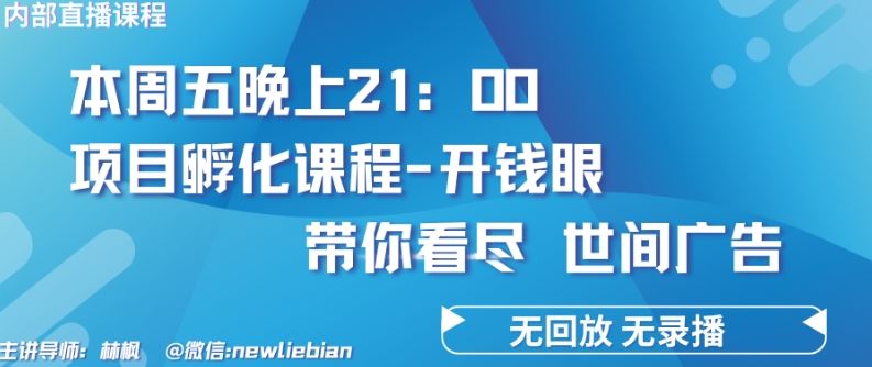 4.26日内部回放课程《项目孵化-开钱眼》赚钱的底层逻辑【揭秘】-徐小晨博客