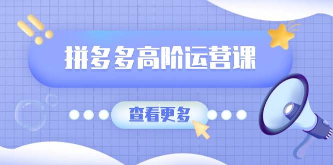 拼多多高阶运营课：极致群爆款玩法，轻付费无尽复制，打造单品爆款之路-徐小晨博客
