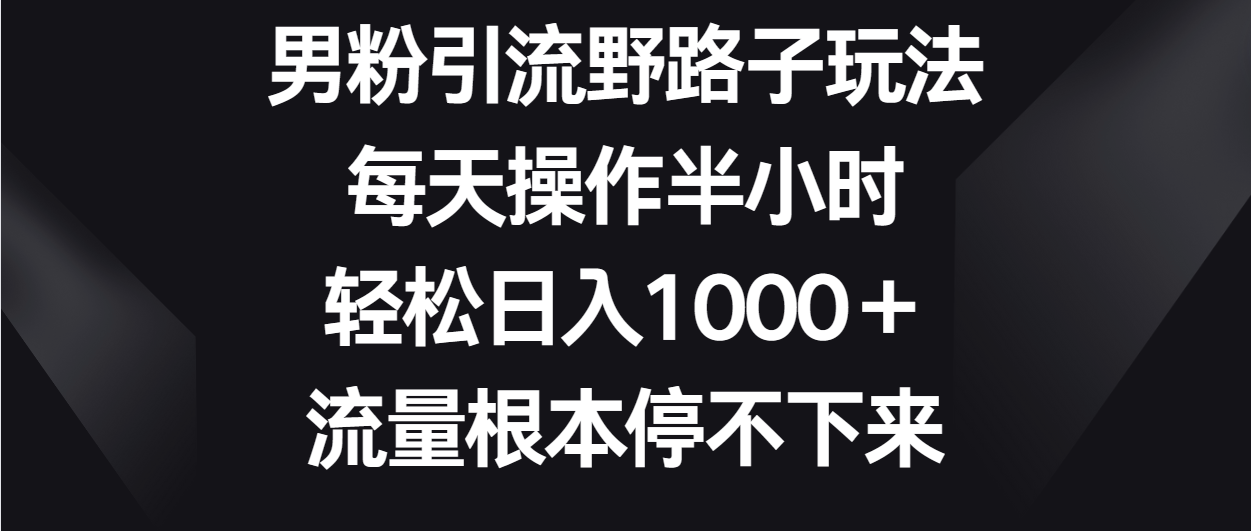 男粉引流野路子玩法，每天操作半小时轻松日入1000＋，流量根本停不下来-徐小晨博客