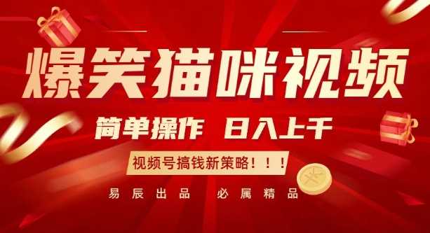 爆笑猫咪视频：简单操作，日入过K，视频号搞钱新策略【揭秘】-徐小晨博客