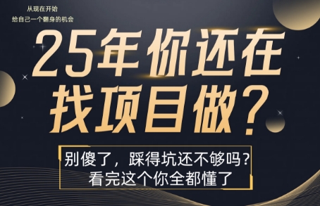 25年，你还在疯狂的找项目吗？别傻了，看完这个你都懂了【揭秘】-徐小晨博客