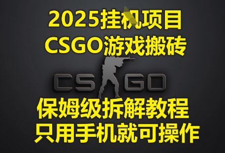 2025挂G项目，CSGO游戏搬砖，保姆级拆解教程，只用手机就可操作【揭秘】-徐小晨博客